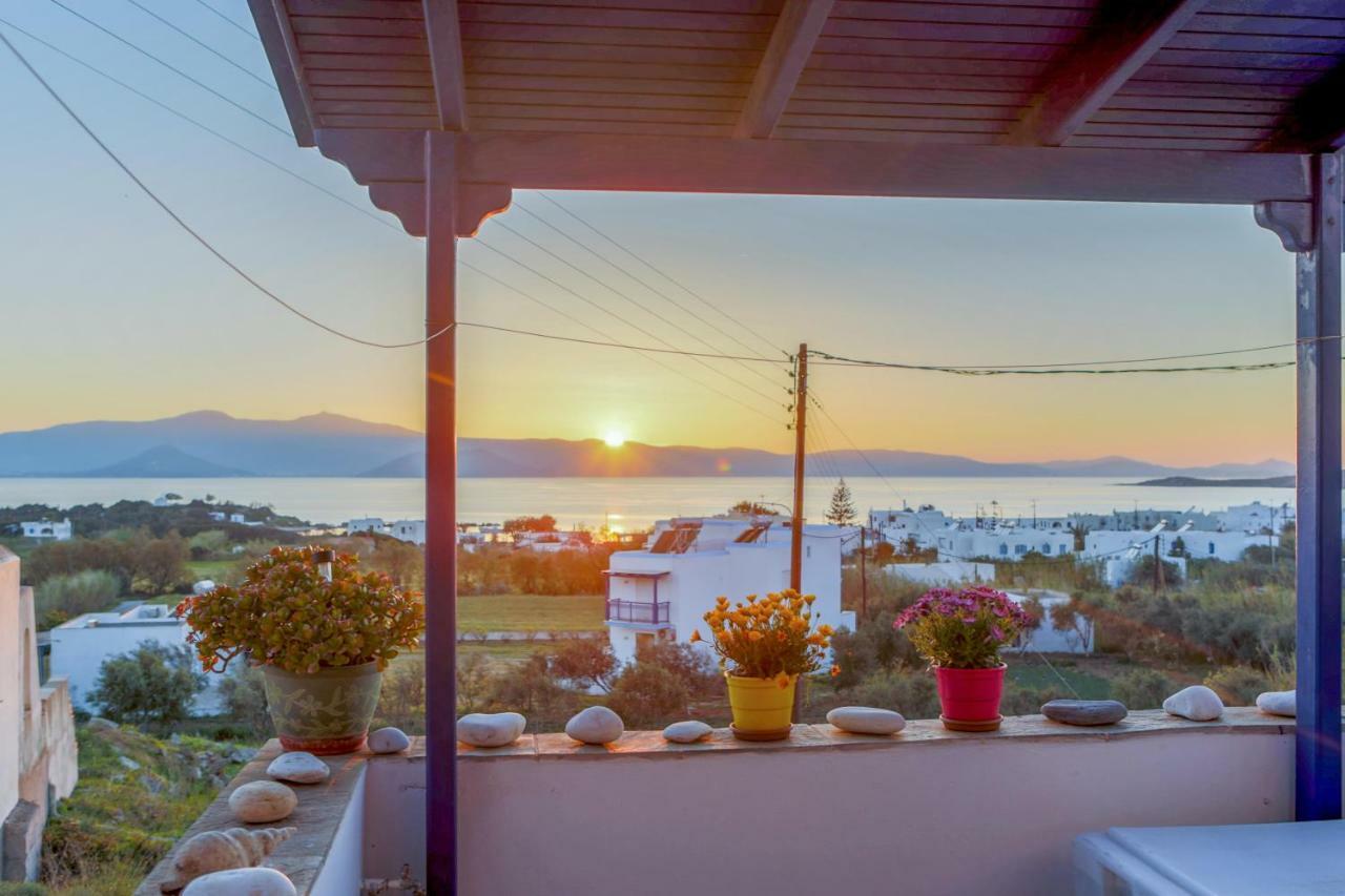 Nicki'S House Apartment Agia Anna  Екстериор снимка